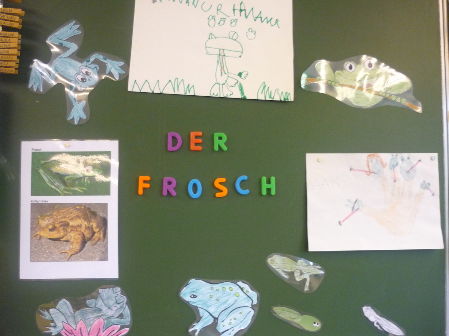 Frosch-Alarm in der Vorschule