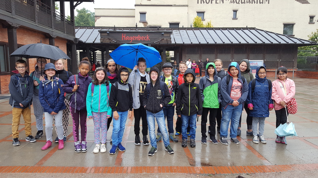 Unsere Grundschüler helfen der Universität Hamburg